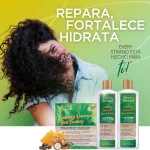 شامپو فری سولفات ترمیم کننده موهای آسیب دیده اوری استرند | Every Strand sulfate-free shampoo 399 ml - Image 3