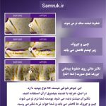 اسنس بایو لیفتینگ نامبر 9 نامبوزین(Numbuzin No.9 NAD Bio Lifting Essence، 50) - Image 2