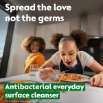 پاک کننده سطوح آنتی باکتریال دتول Dettol Antibacterial Surface Cleanser Mega 1 L - Image 3