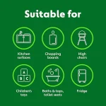 پاک کننده سطوح آنتی باکتریال دتول Dettol Antibacterial Surface Cleanser Mega 1 L - Image 2