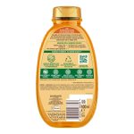 شامپو گارنیر حاوی روغن نارگیل 400 میل مخصوص موهای خشک و وزوزی | Garnier Shampoo - Image 2