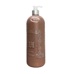 شامپو دنس هیر Dance Hair حجم 1000 میل